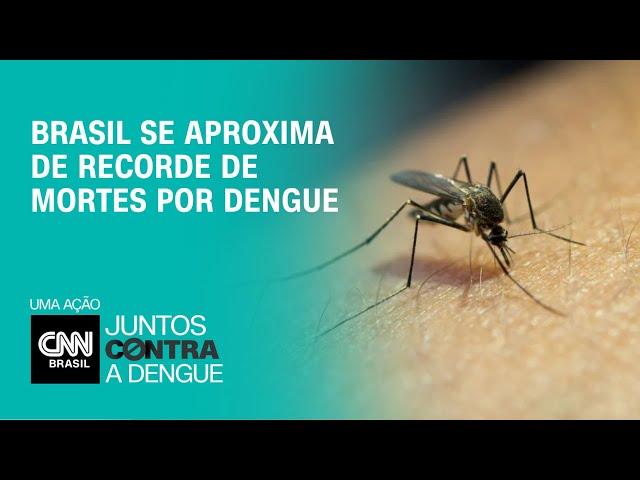 ⁣Brasil se aproxima de recorde de mortes por dengue | BRASIL MEIO-DIA
