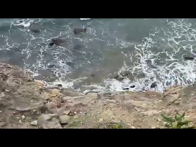 Body found at base of Point Fermin Cliffs in San Pedro