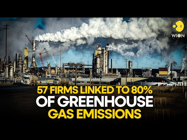 57 companies directly linked to 80% of the world's greenhouse gas emissions: Study | WION Origi