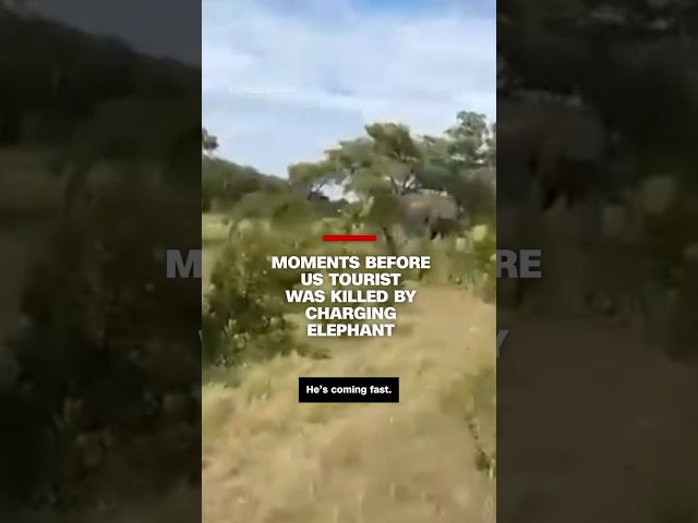 Moments before US tourist was killed by charging elephant