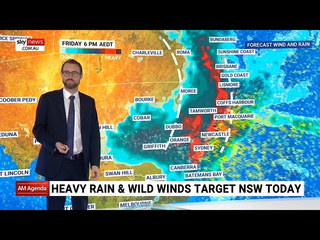 Heavy rain and wild winds target NSW on Friday