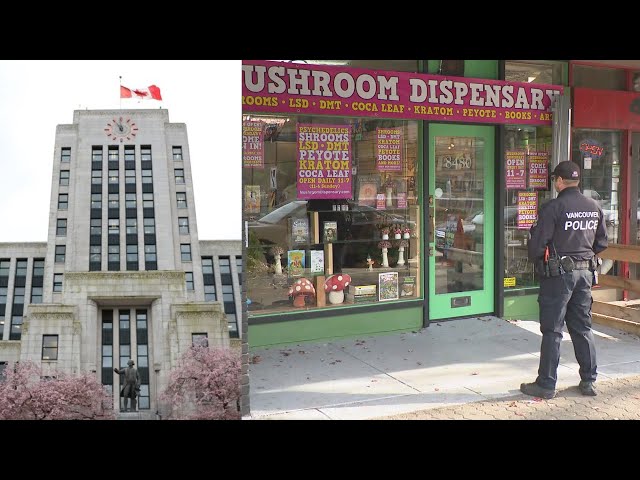 ⁣Vancouver city councillors propose regulating magic mushroom shops