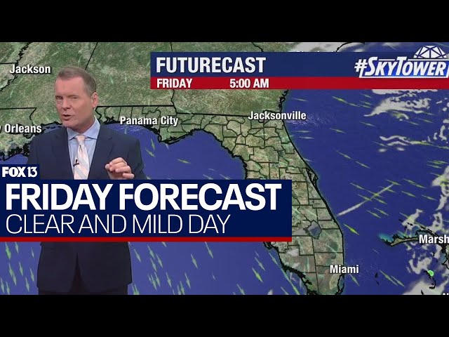 Tampa weather | crystal clear day with mild temps on April 5, 2024