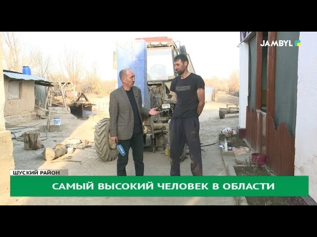 Самый высокий человек в области