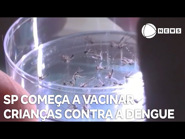 Cidade de São Paulo começa a vacinar crianças de 10 a 14 anos contra a dengue