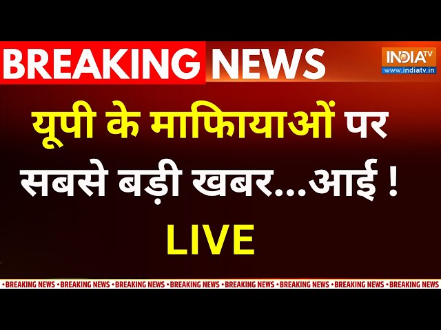 CM Yogi On Mafia Raj LIVE :  सीएम योगी ने  मुख्तार अंसारी का सच बता दिया  ! UP Encounter