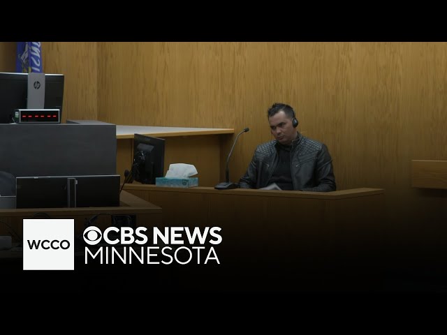 Apple River Stabbing Trial Day 5: Sergio Ruis Leyva testimony