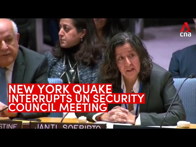 New York earthquake interrupts UN Security Council meeting