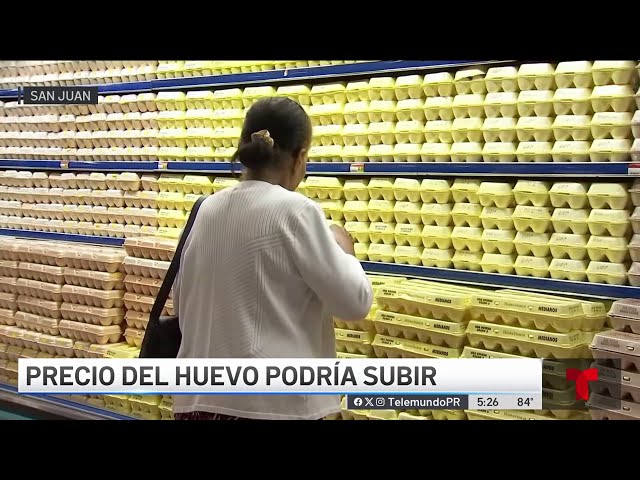 Gripe aviar podría provocar aumento en el precio de los huevos