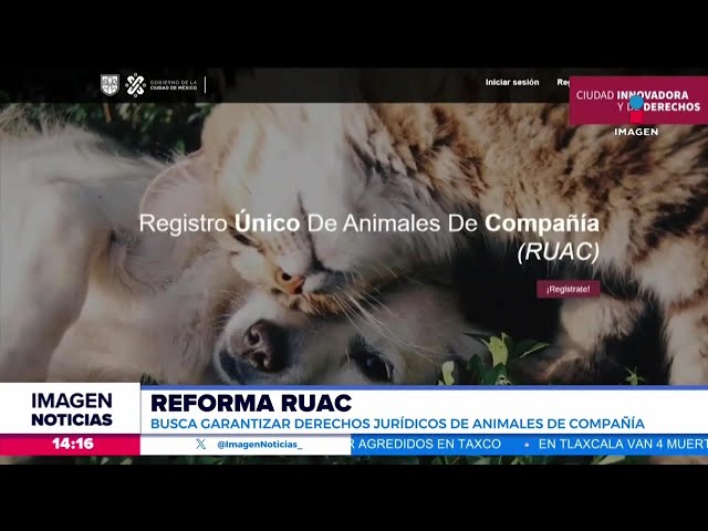 Los datos que ingreses al registro de animales de compañía no están en riesgo