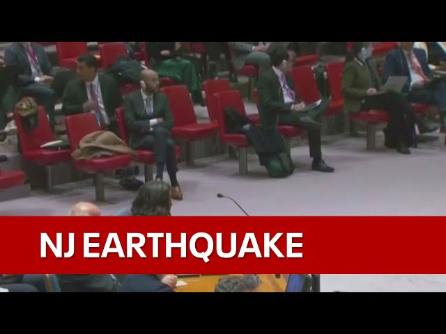 Video captures moments 4.8 magnitude earthquake rattles NYC