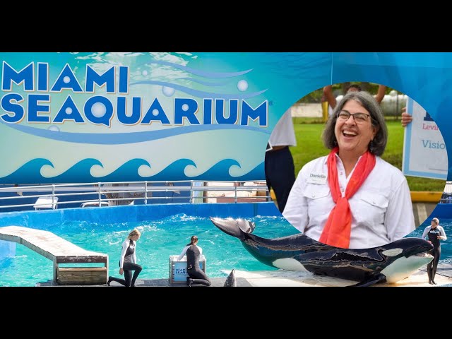 Alcaldesa de Miami-Dade  a punto de cerrar el emblemático Miami Seaquarium