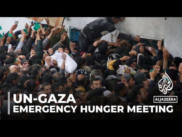 Emergency UN security council meeting: Gaza hunger & threats to aid workers discussed