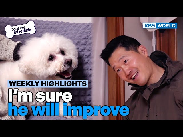 [Weekly Highlights] I'm sure he'll improve [Dogs Are Incredible] | KBS WORLD TV 240402