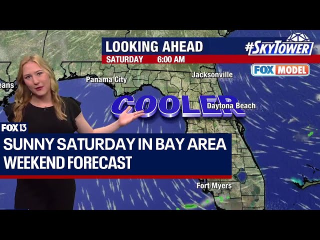 Tampa weather: Sunny, pleasant Saturday