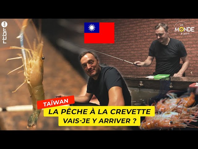 Je pêche la crevette à Taïwan - Un Monde à part