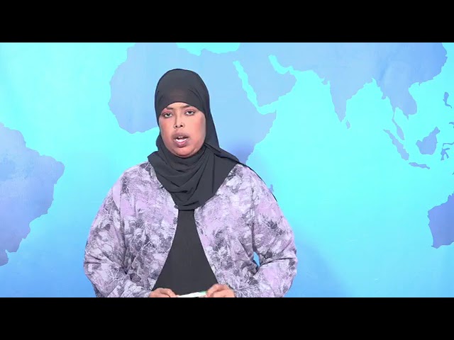 WARKA HABEEN EE Telefishinka Qaranka Soomaaliyeed 06.04.2024