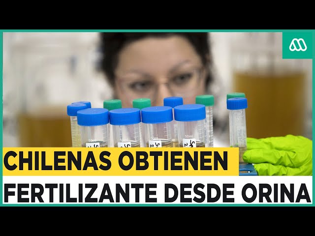 ⁣Fertilizantes a partir de orina: Científicas chilenas desarrollan innovador método