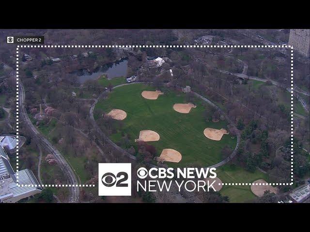 Central Park's Great Lawn reopening after repairs