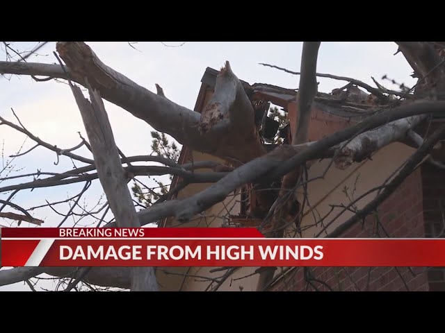 Tree falls through roof of Littleton home amid strong winds