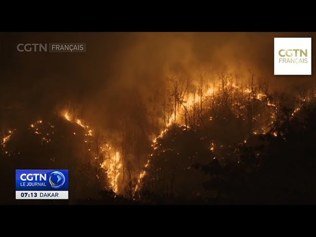 ⁣Les feux de forêt font rage au Mexique