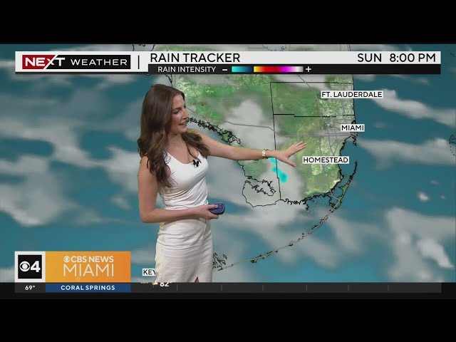 South Florida 8 a.m. Weather Forecast 4/7/2024