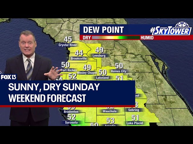Tampa weather: Sunny, dry Sunday