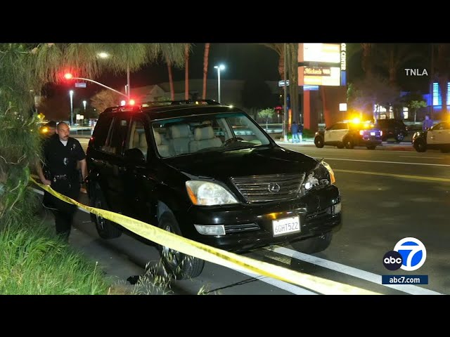Theft suspects hit by car in West Hills while running away from security