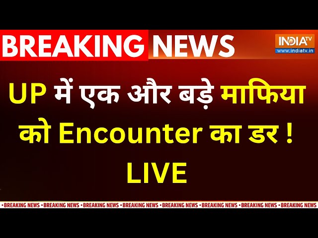 CM Yogi Action On Mafia Raj LIVE : योगी का बड़ा 'ऑर्डर'...UP में फिर एक Encounter? | Irfan