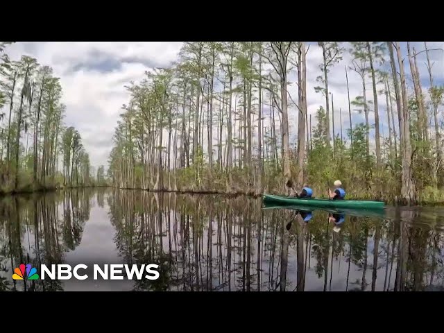 Environmentalists warn of threat to famed Okefenokee Swamp