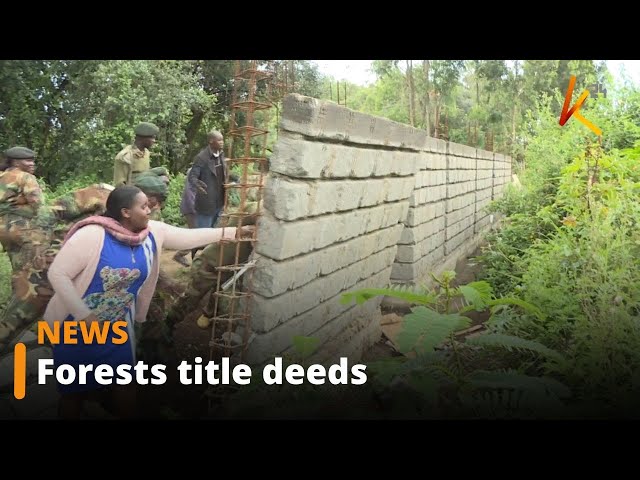 ⁣Government to take action to revoke title deeds held by people with land parcels in gazetted forests
