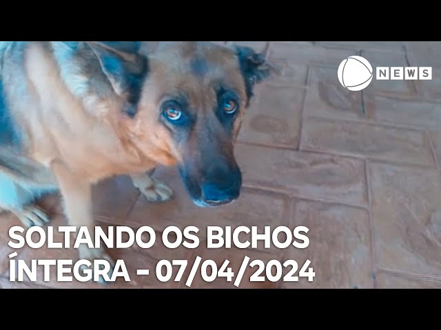 Soltando os Bichos - 07/04/2024