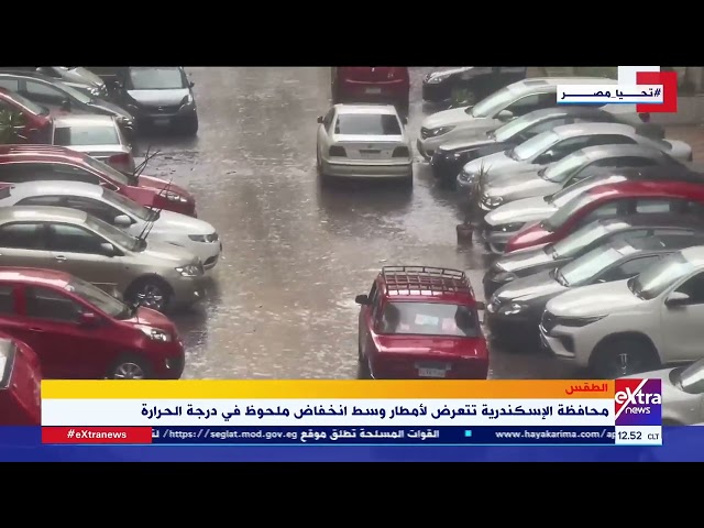 ⁣محافظة الإسكندرية تتعرض لأمطار وسط انخفاض ملحوظ في درجات الحرارة