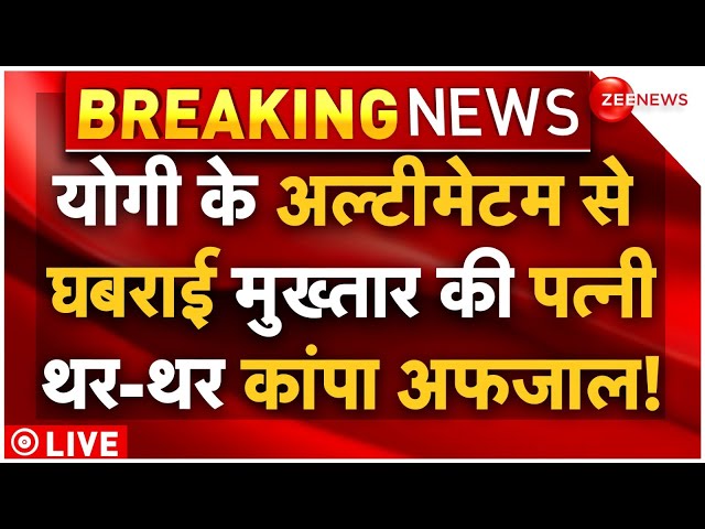 Afzal Ansari On Mukhtar Ansari Wife Surrender LIVE : मुख्तार की पत्नी का सरेंडर, टेंशन में अफजाल!