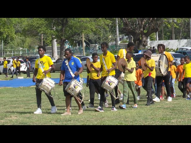 Boy Scouts trying to boost membership