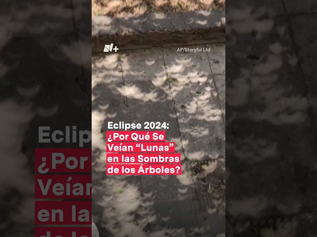 Eclipse 2024: ¿Por qué se veían “lunas” en las sombras de los árboles? - N+ #Shorts