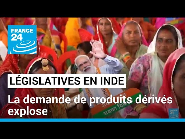 Législatives en Inde : pluie de goodies à l'approche des élections • FRANCE 24