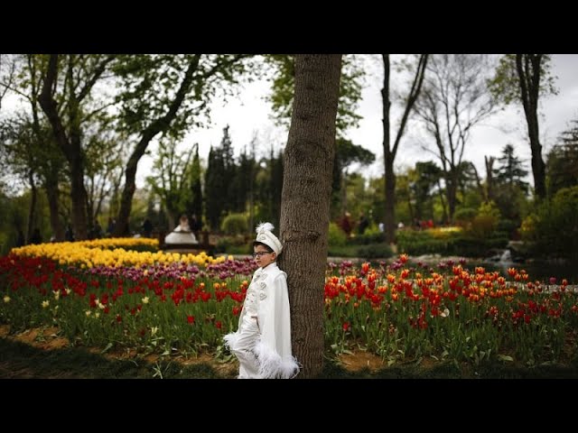 Im Zeichen des Frühlings: Millionen Tulpen blühen in Istanbul