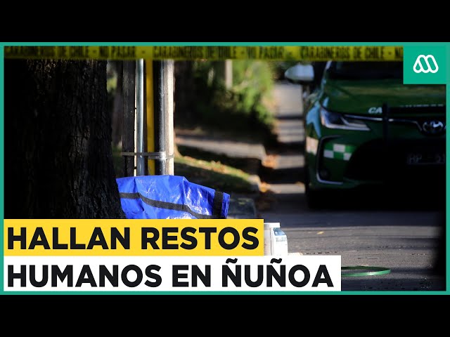 Encuentran restos humanos en la comuna de Ñuñoa