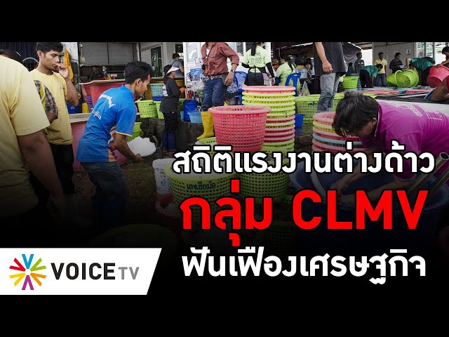 สถิติแรงงานต่างด้าวกลุ่ม CLMV ฟันเฟืองเศรษฐกิจ #TheDailyDose