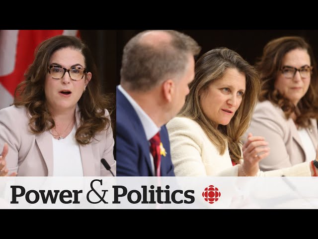 ⁣Ottawa launching $500M fund for youth mental health | Power & Politics