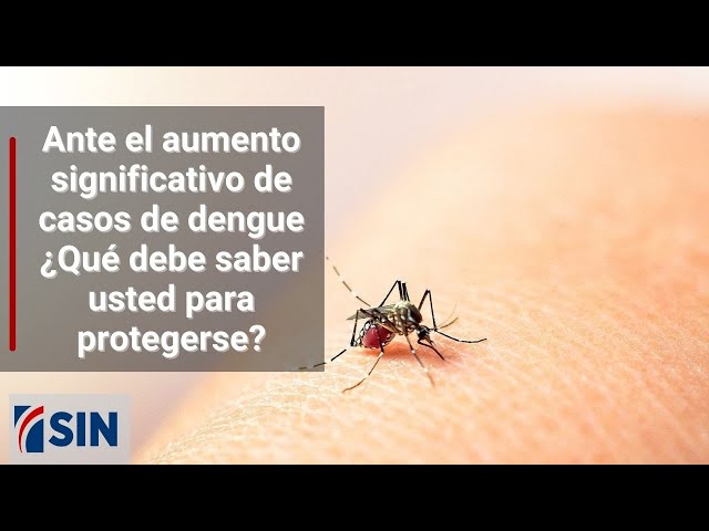 ⁣Ante el aumento significativo de casos de dengue ¿Qué debe saber usted para protegerse?