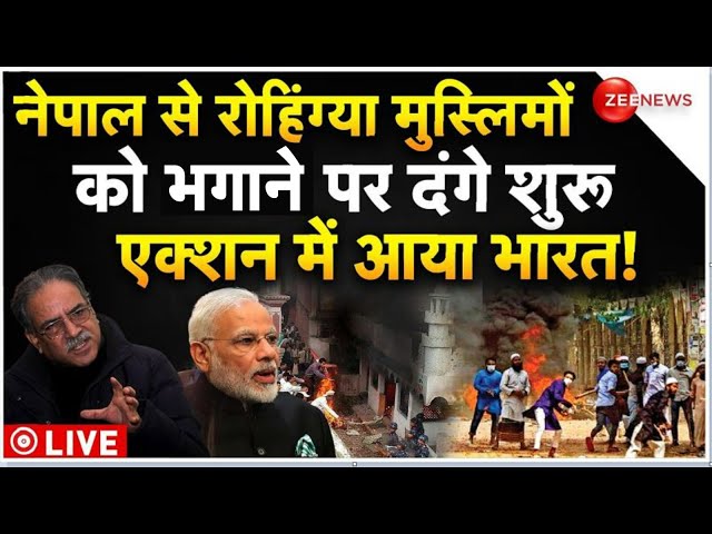 Nepal Action On Rohingya Muslims LIVE : नेपाल से रोहिंग्या मुस्लिमों को भगाने पर भयंकर बवाल! Hindu