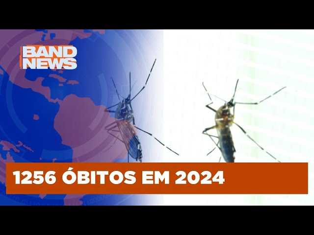 ⁣Brasil tem o maior Nº de mortes por dengue no século | BandNewsTV