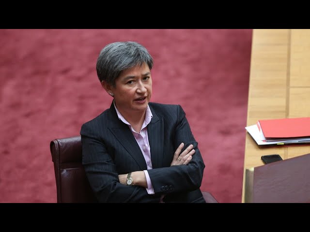 ‘Profoundly disappointed’: Greg Sheridan on Penny Wong’s calls for Palestinian statehood