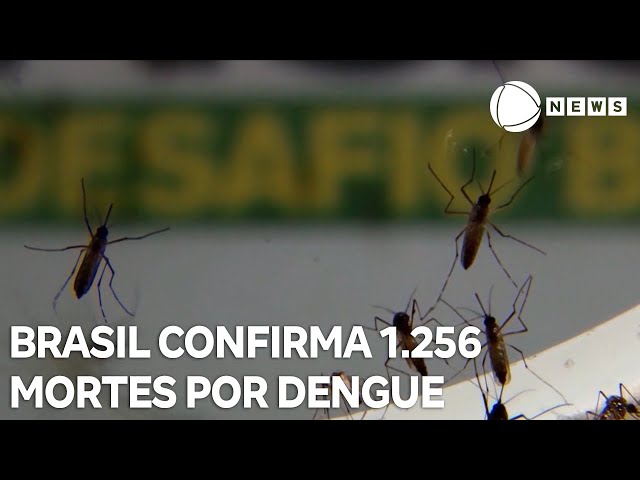 ⁣1.256 mortes por dengue são confirmadas no Brasil; 1.857 óbitos são investigados