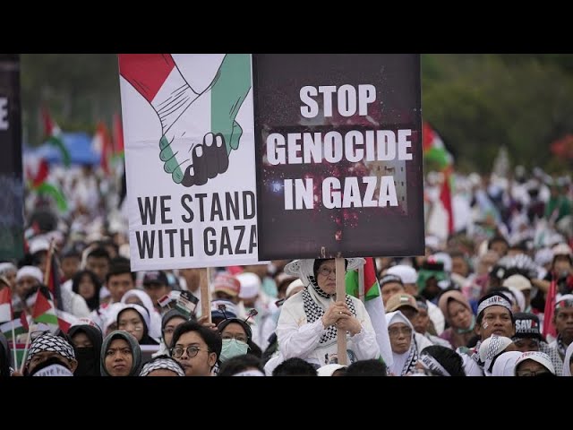 ⁣EU muss handeln, um Völkermord in Gaza zu verhindern