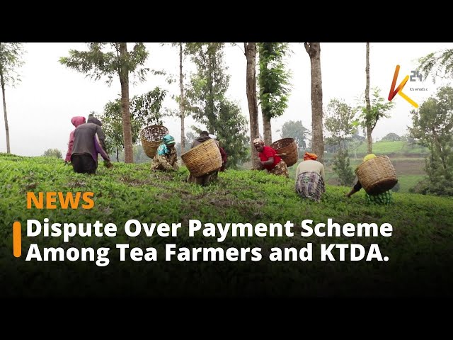 ⁣Dispute Over Payment Scheme Among Tea Farmers, KTDA, and Former Directors.