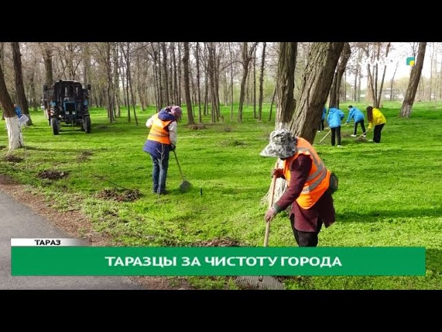 Таразцы за чистоту города