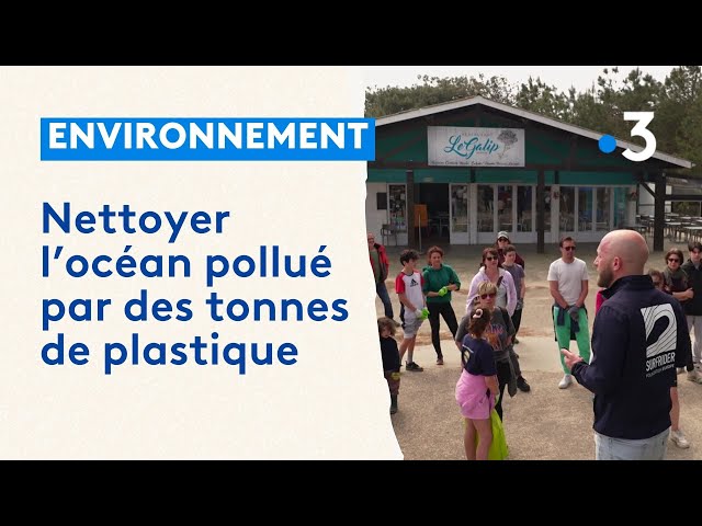 Des bénévoles se retroussent les manches pour nettoyer l'océan